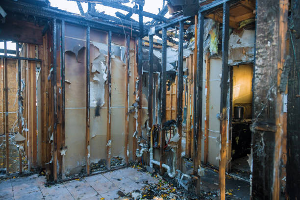 Professional Fire Damage Removal technician working in Cape Coral, FL